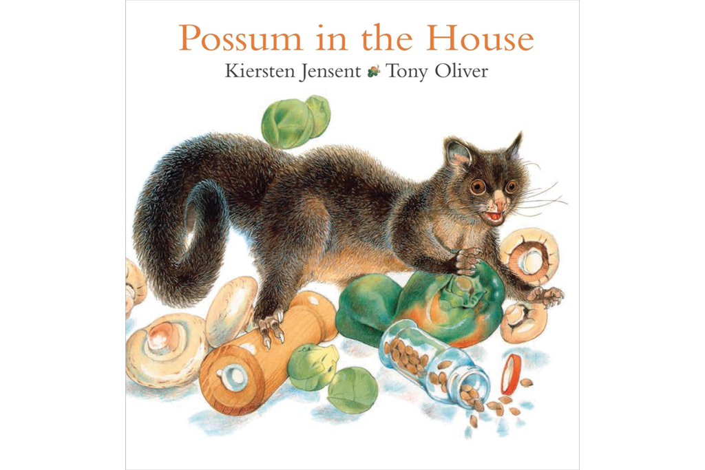 Book cover of Possum in the House